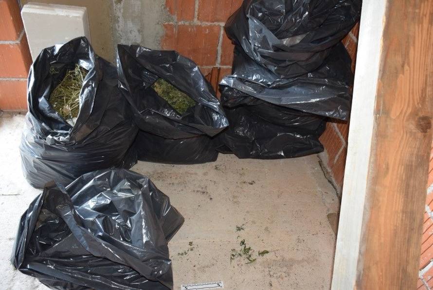 Policija im pokvarila planove: Iz Srbije došli u Zagreb uzgajati marihuanu, ostali bez svega