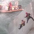 Kitovi ubojice uništili brod u napadu kod španjolske obale