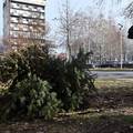 U Zagrebu od utorka počinju skupljati bačena božićna drvca