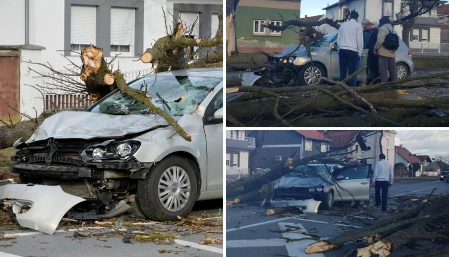 Stablo smrskalo auto u vožnji: Vozačicu spremaju za operaciju