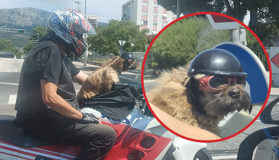 Motorist i pas postali atrakcija u Splitu: 'Svaki dan se njih dvoje voze, mališan  ima svoju kacigu'