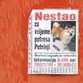 Usred potresa joj nestao pas u Petrinji: Nalazniku nudi novac