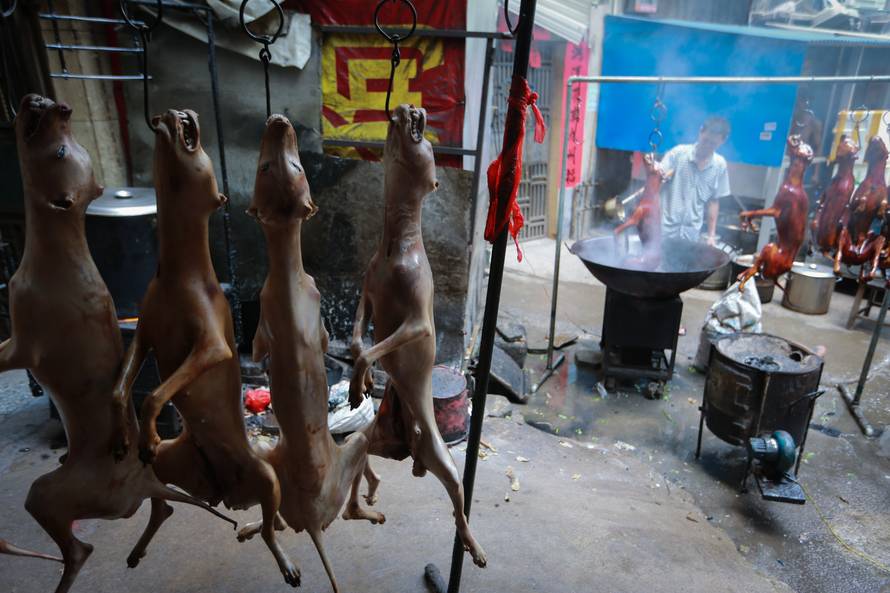 10.000 pasa i mačaka čeka da ih se zakolje i servira na stol