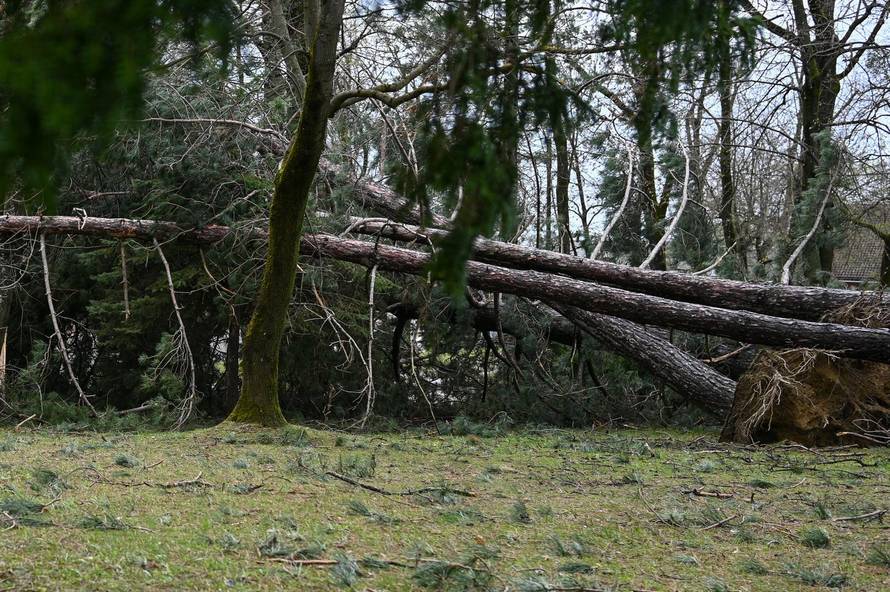 Zagreb: U nevremenu teško oštećeno gradsko groblje Mirogoj