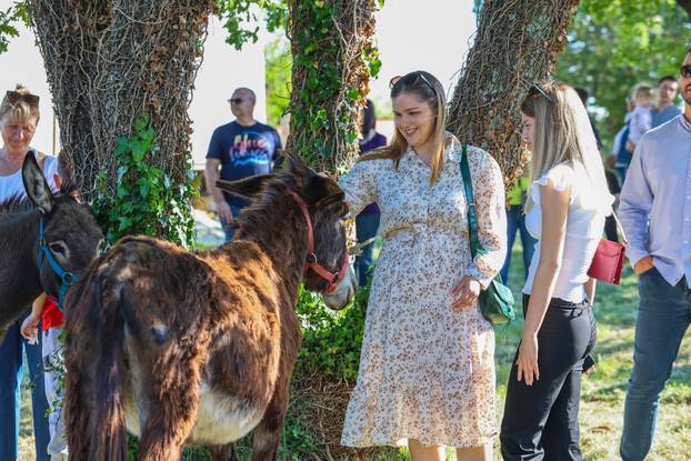 Pula: Održana je tradicionalna 55. Trka na tovari