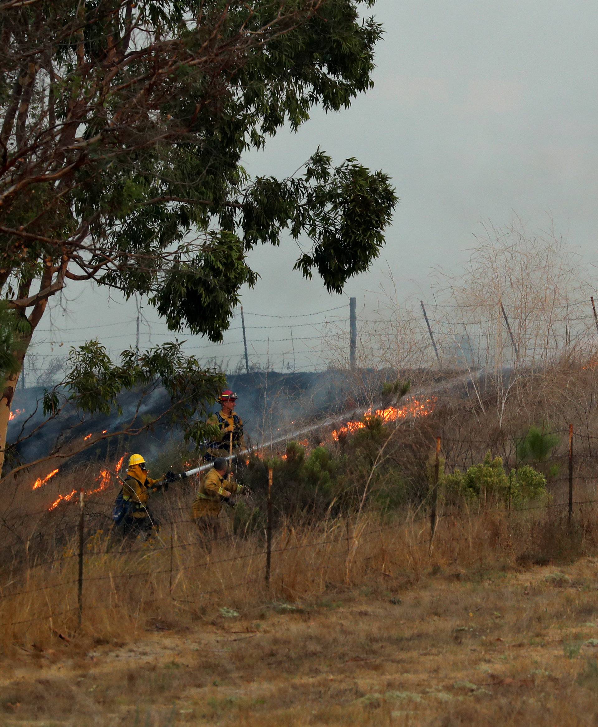 Firefighters battle a fast moving wind driven wildfire in Orange, California