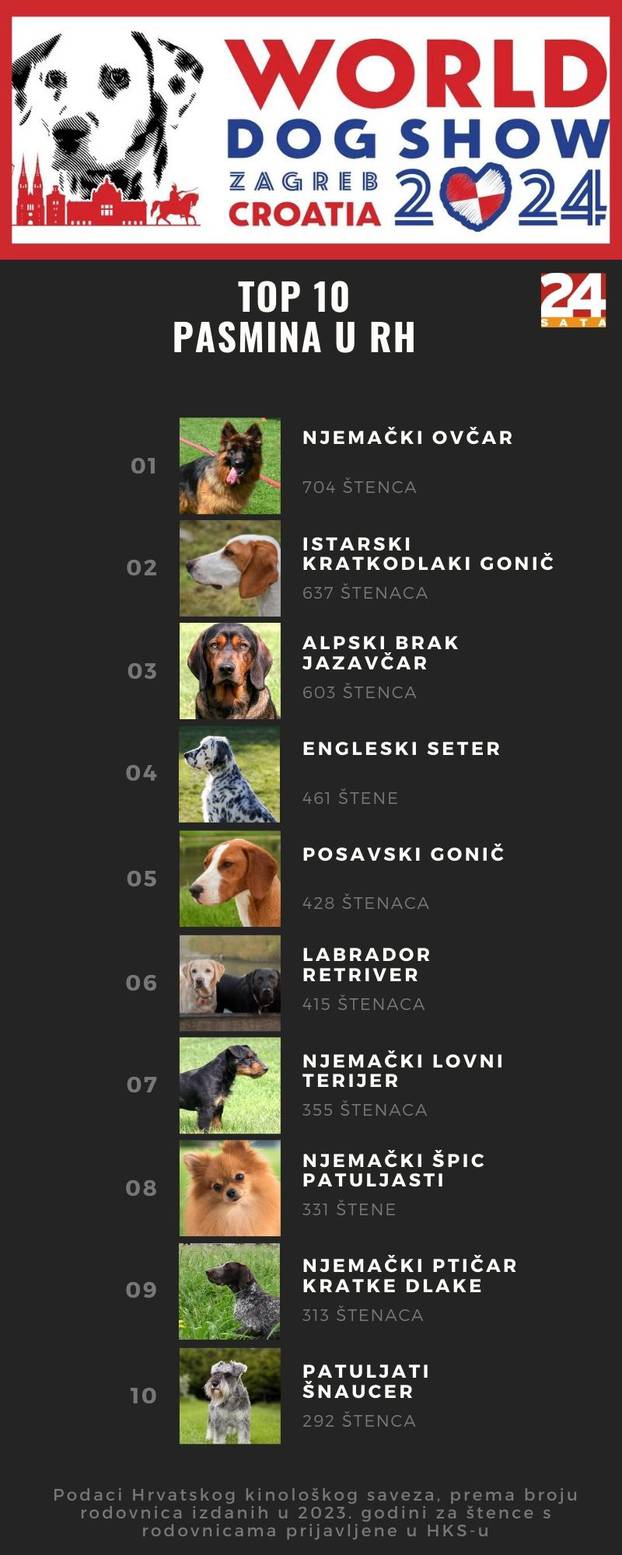 Top lista najpopularnijh pasmina (Izvor: HKS za 24sata)