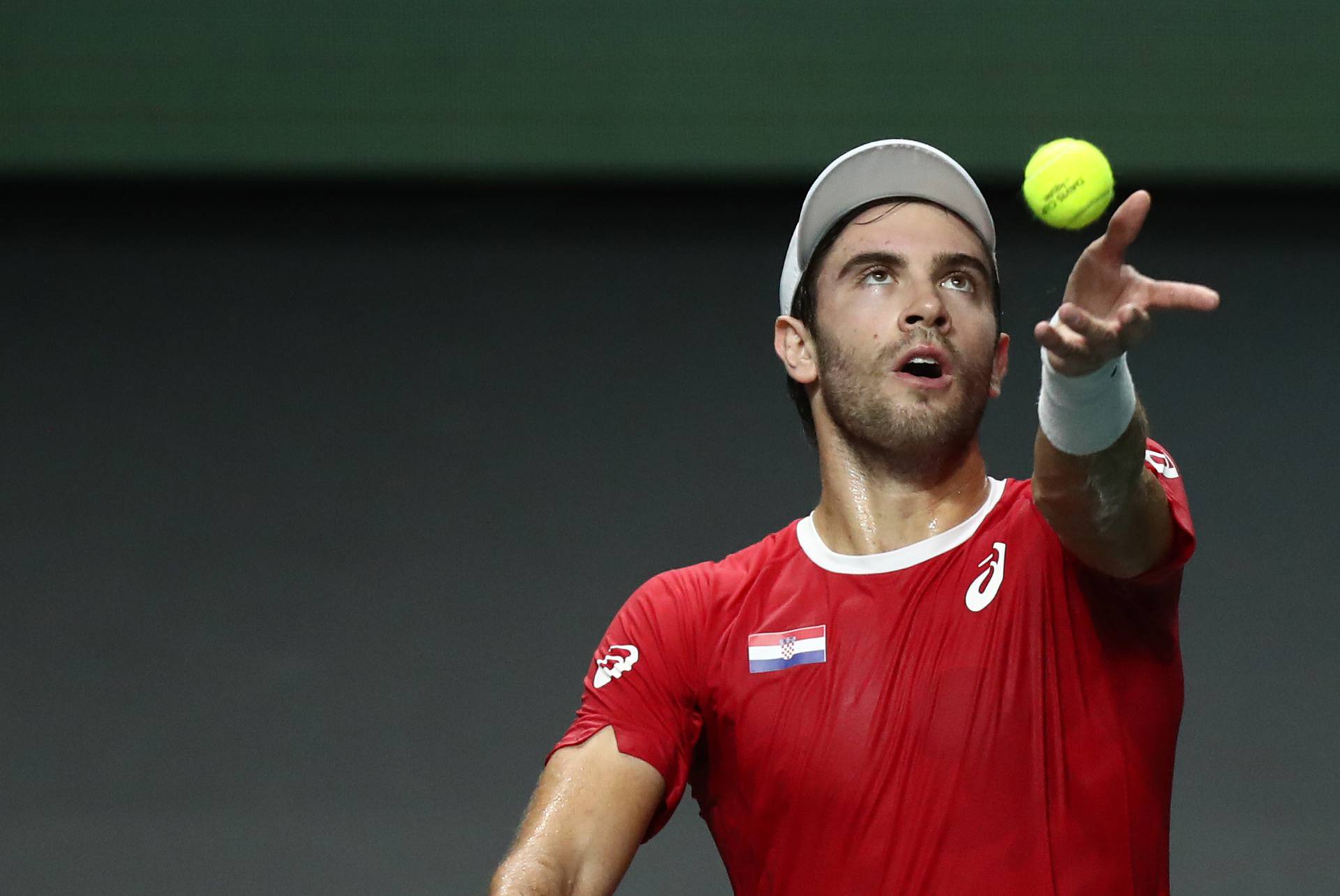 Malaga: Hrvatska protiv Španjolske na Davis Cupu, Čilić - Bautista Agut