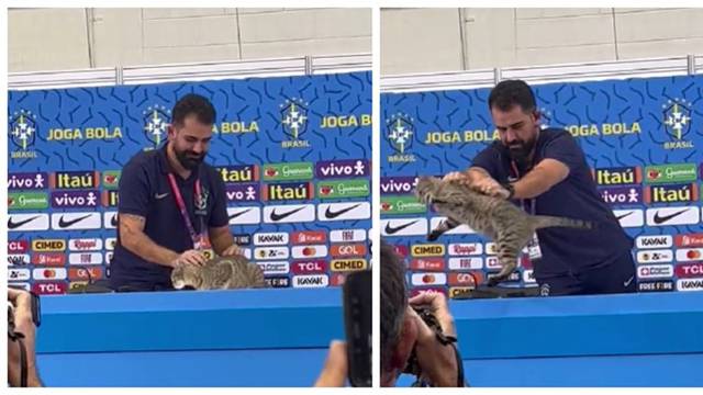 Slučaj 'mačkicius': Pa ti bacaj mačku sa stola. Zato su Brazilci izgubili od Hrvatske. Karma...