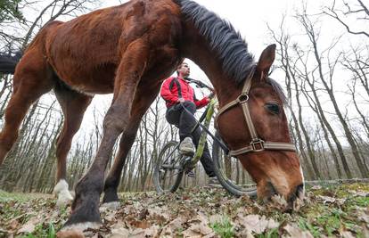 'Moj konj Kasper i ja jurimo šumama čak do 60 km na sat'