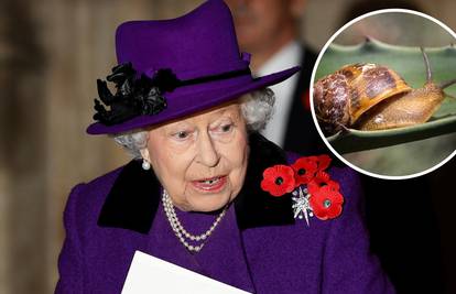 Kraljica je našla puža u salati, pa je kuharima poslala poruku