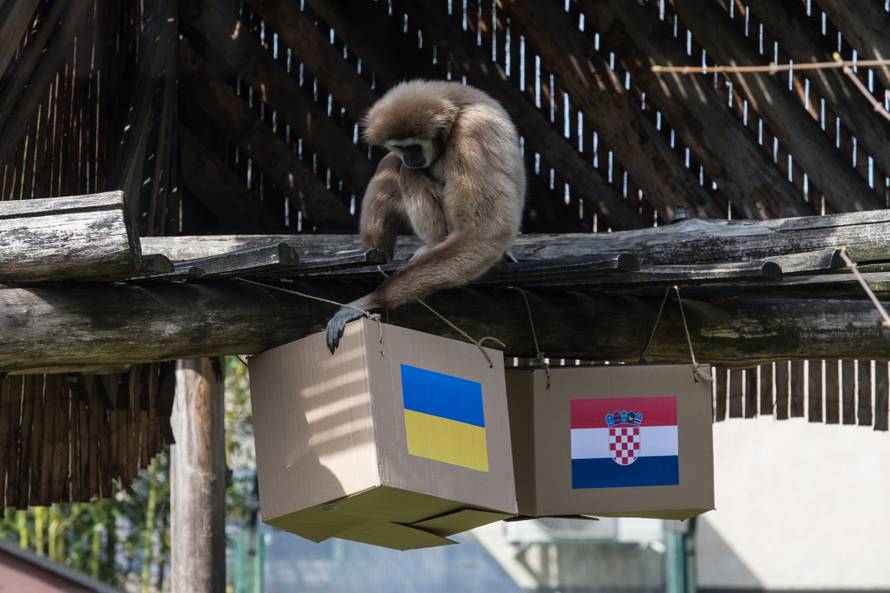 Gibon Kent prognozira: Tko će dobiti - Ukrajina ili Hrvatska?