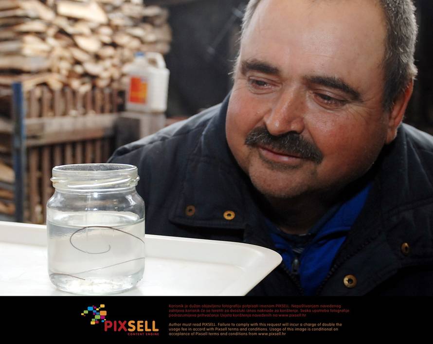 Nikola Čutuk/Pixsell