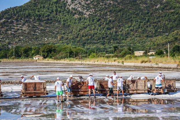 Berba soli u Stonskoj solani