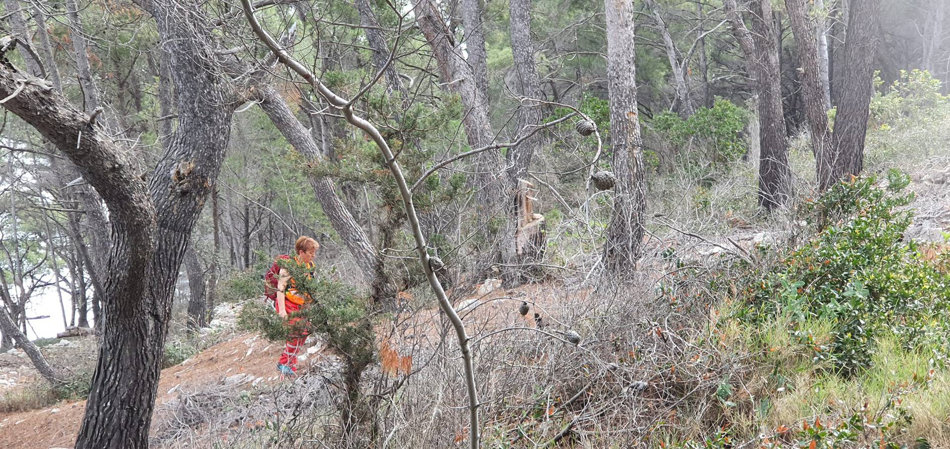 Potraga za mladićem na Korčuli traje već 10 dana: 'Psihički smo umorni, ali vjerujemo da je živ'