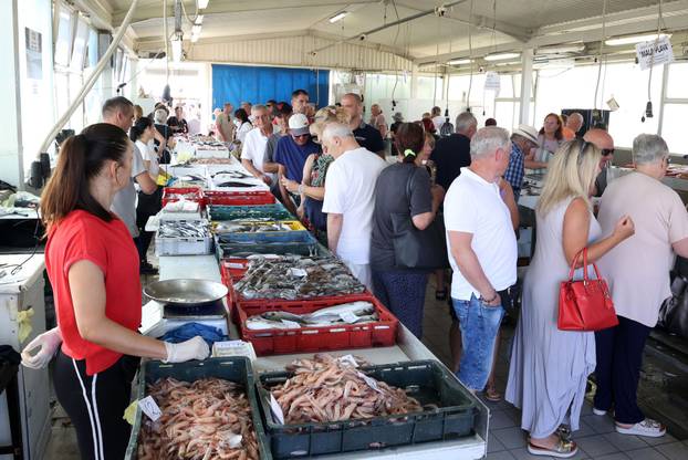 Šibenik: Bogata ponuda ribe na šibenskoj ribarnici