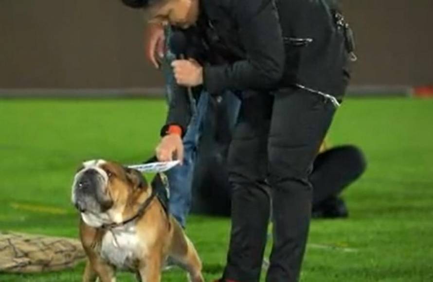 Bez publike na stadionu: Čitala je želje obožavatelja pa pjevala