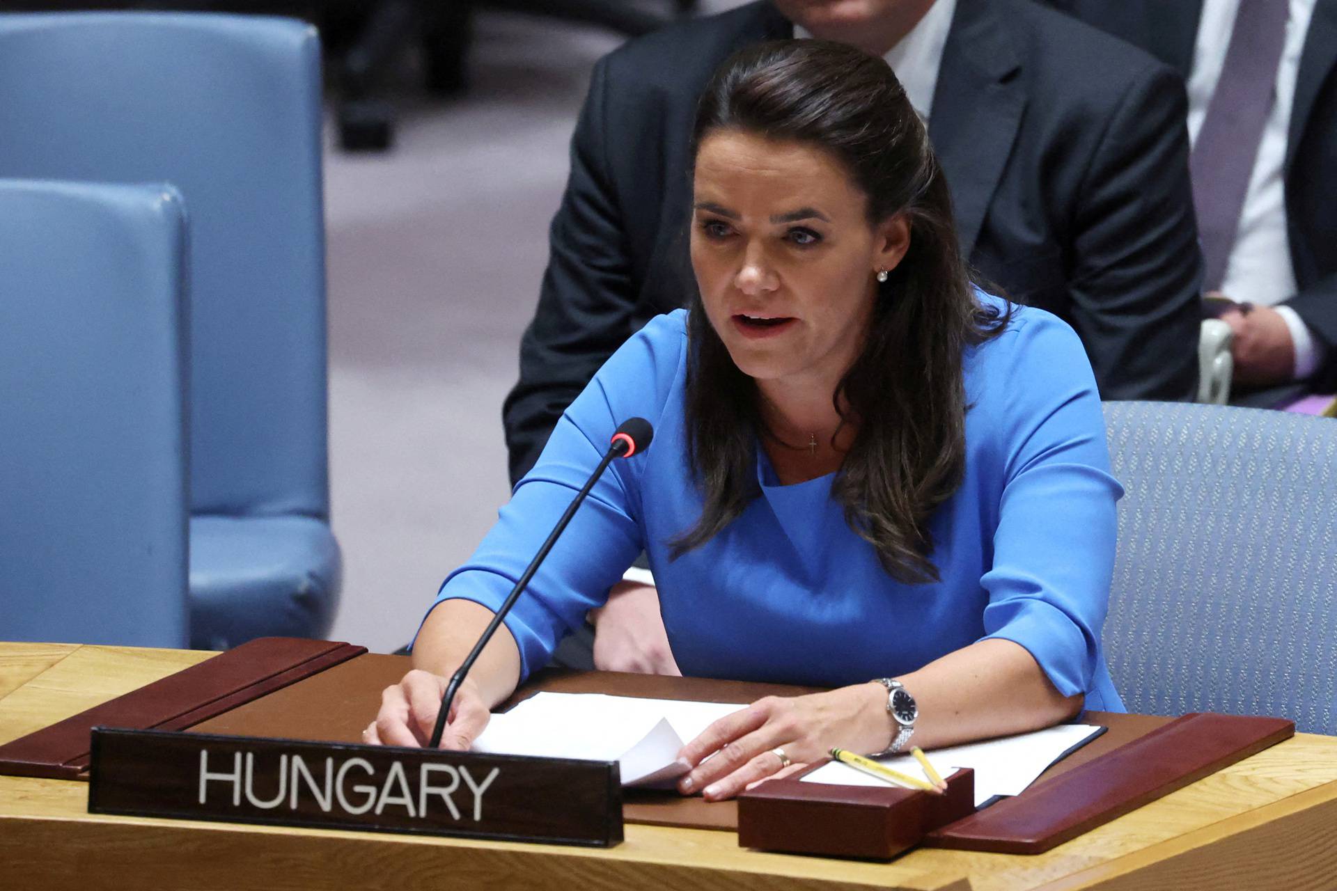 FILE PHOTO: United Nations Security Council on the crisis in Ukraine at U.N. headquarters in New York