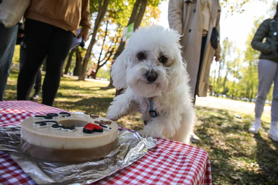 Zelene navike jednostavne su i pristupačne, podsjetili smo se na Ekotlonu i dobro se zabavili!