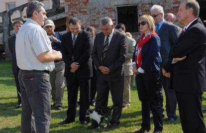 Župan Vučić šutnuo mačku koja mu se češkala o nogu