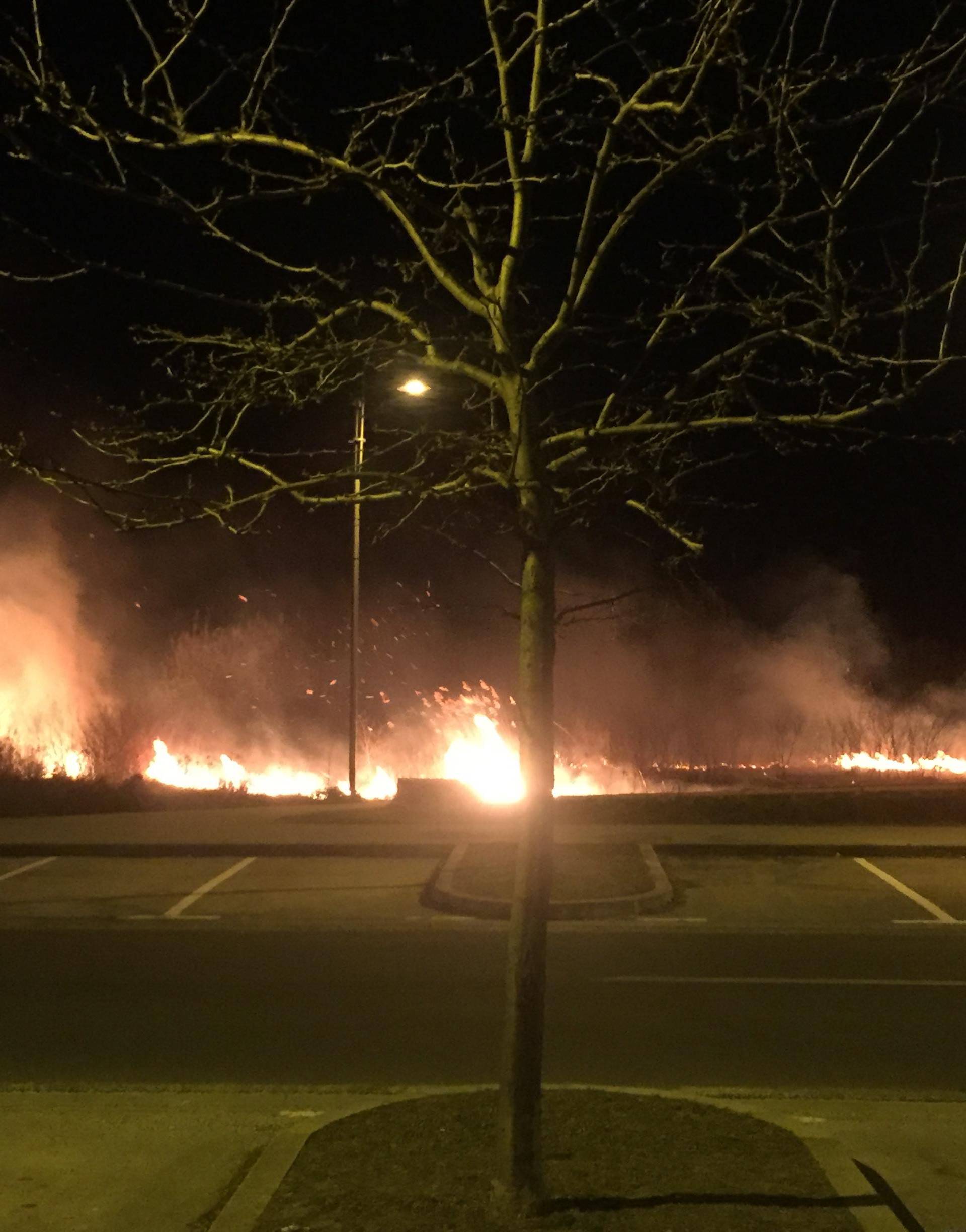 Požar u Novom Jelkovcu: Gorjeli su trava i nisko raslinje