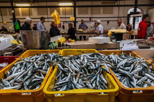 Split: Bogata ponuda ribe petkom u splitskoj ribarnici