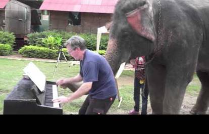 Slon glazbenik: Surlom svira klavijature sa ljudskim prijateljem