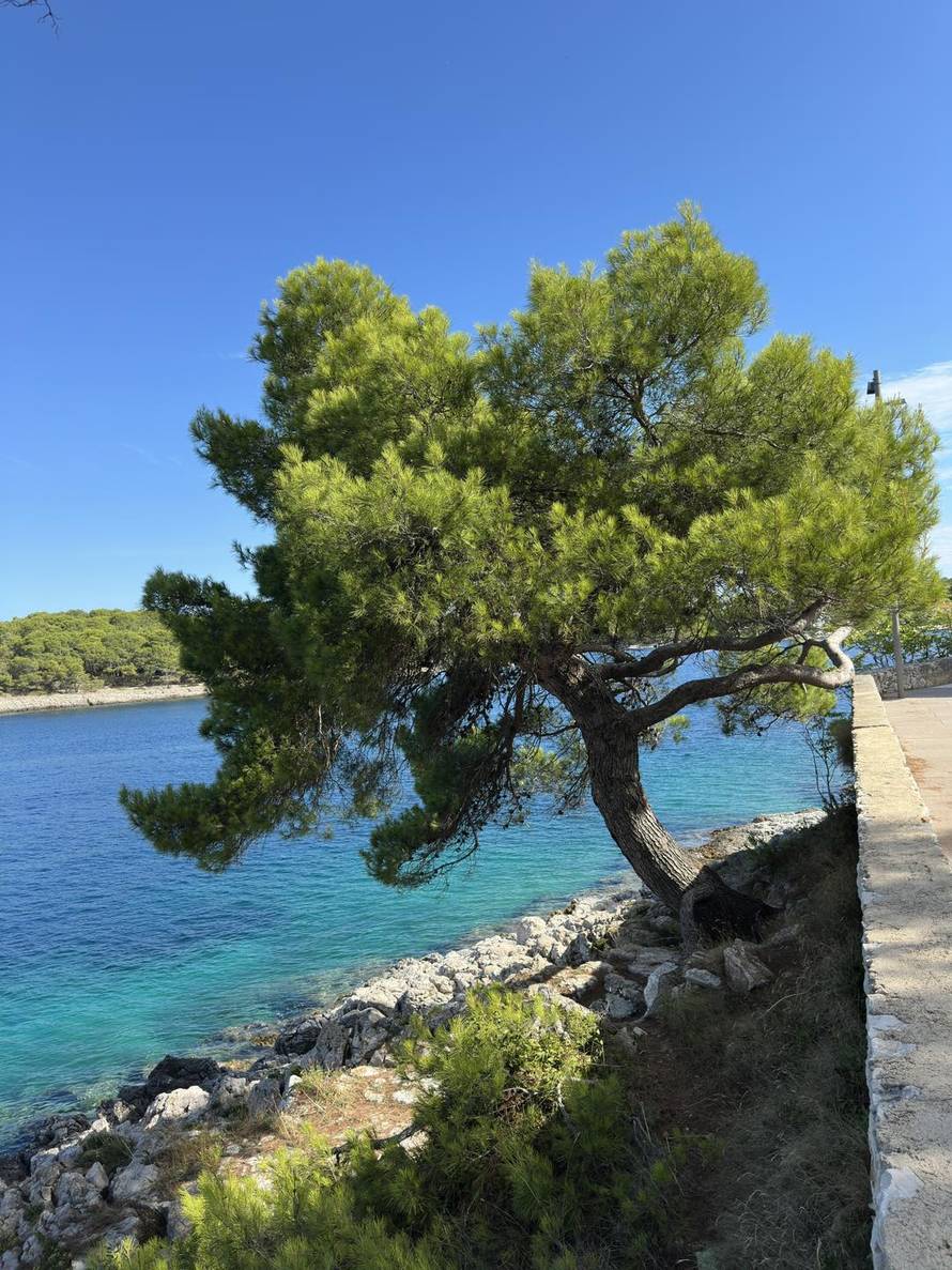 FOTO Kolinda na Antarktici: Društvo joj prave pingvini!