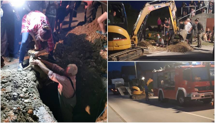 Psi zapeli u Mačkovcu: Kopali cestu pa ih spasili iz šahta...