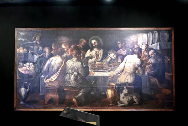 Šibenik:Otvoren muzej dalmatinskom psu,dalmatincu 