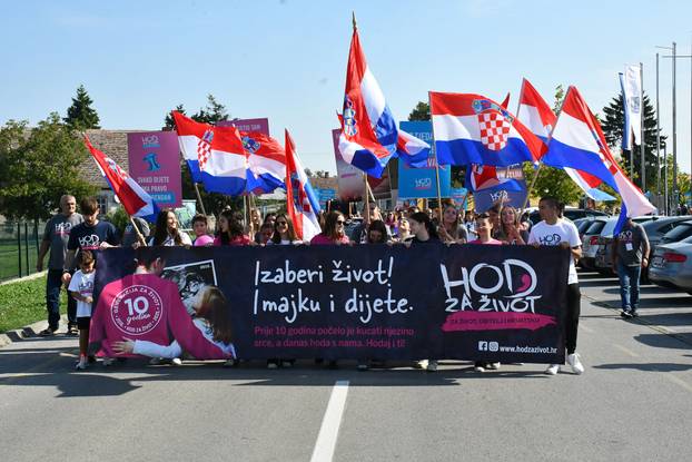 Pogledajte fotografije. U Sl. Brodu održan Hod za život