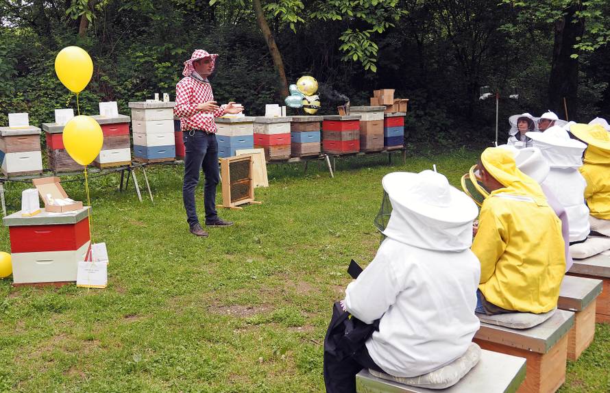 Od otrova mojih pčela radim kreme protiv bora i bolova