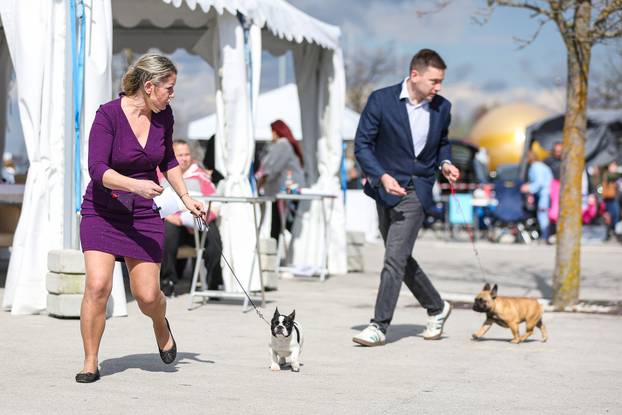 Zaprešić: Ispred Wesgatea održana međunarodna izložba pasa