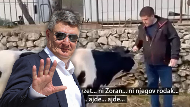 Milanović: 'Moram paziti da me ne isprovociraju tipovi kao onaj koji je razgovarao s kravom'