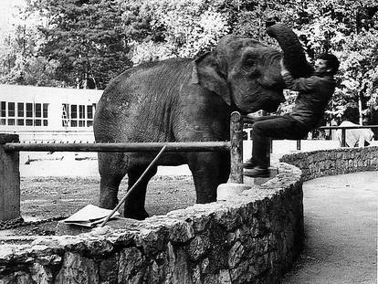 FOTO Ovo su prve životinje koje su živjele u zagrebačkom ZOO-u