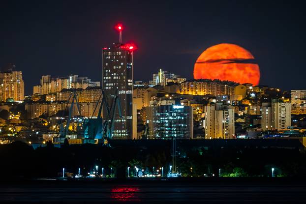 TOP 100 fotografija u 2024. godini
 