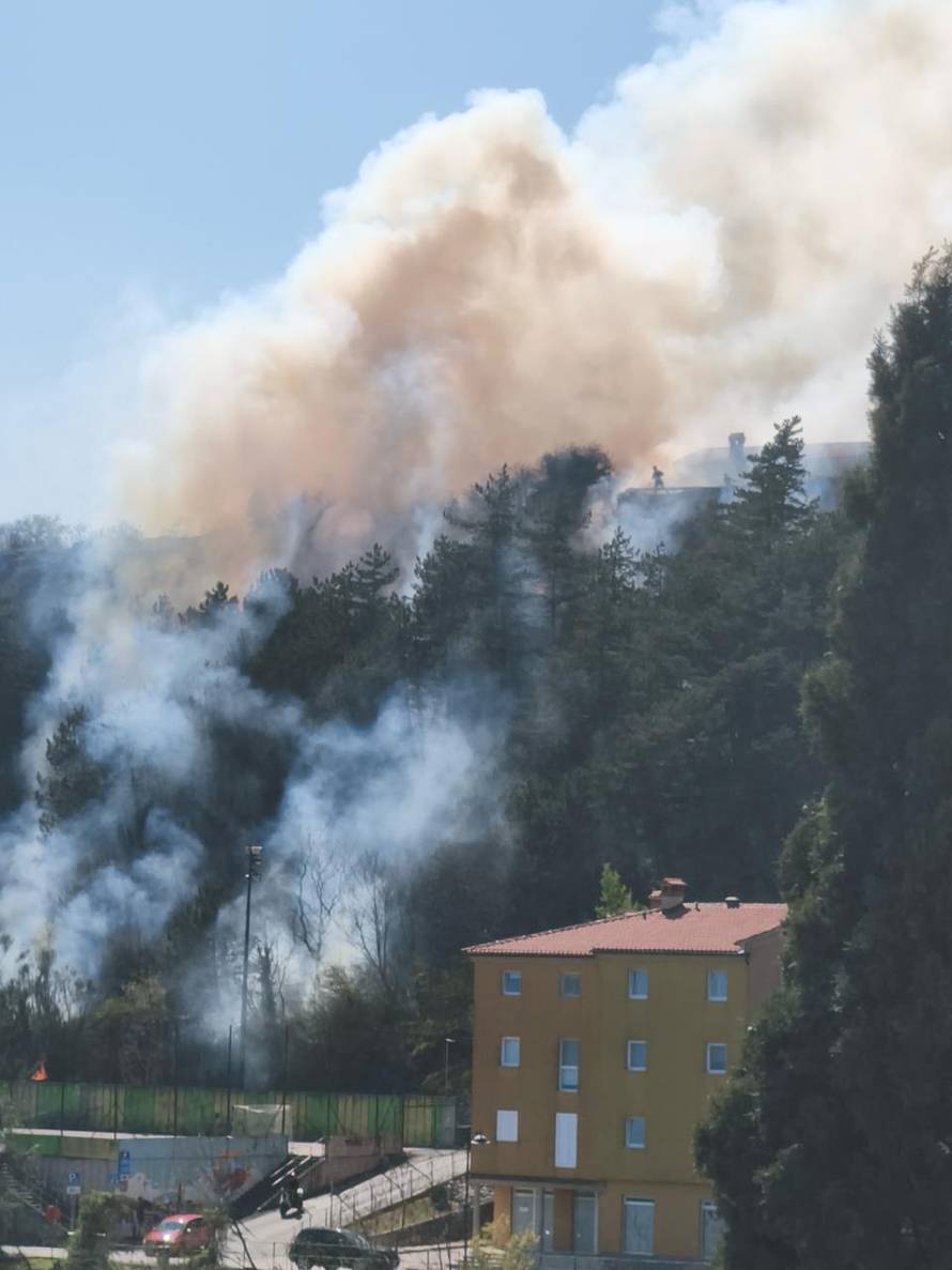 FOTO Gori šuma u Labinu