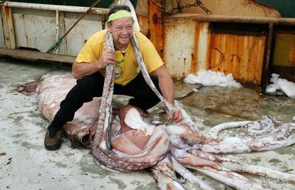 Australski ribari ulovili lignju tešku 230 kilograma