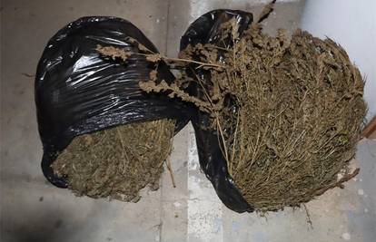 'Pali' dileri u Križevcima: Našli skoro 4 kile trave i amfetamine
