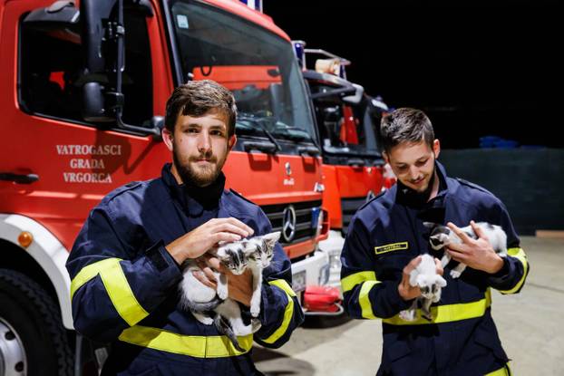 Vrgorac: Vatrogasci spasili 4 mačiča iz šahta gdje su ih pronašli ostavljene