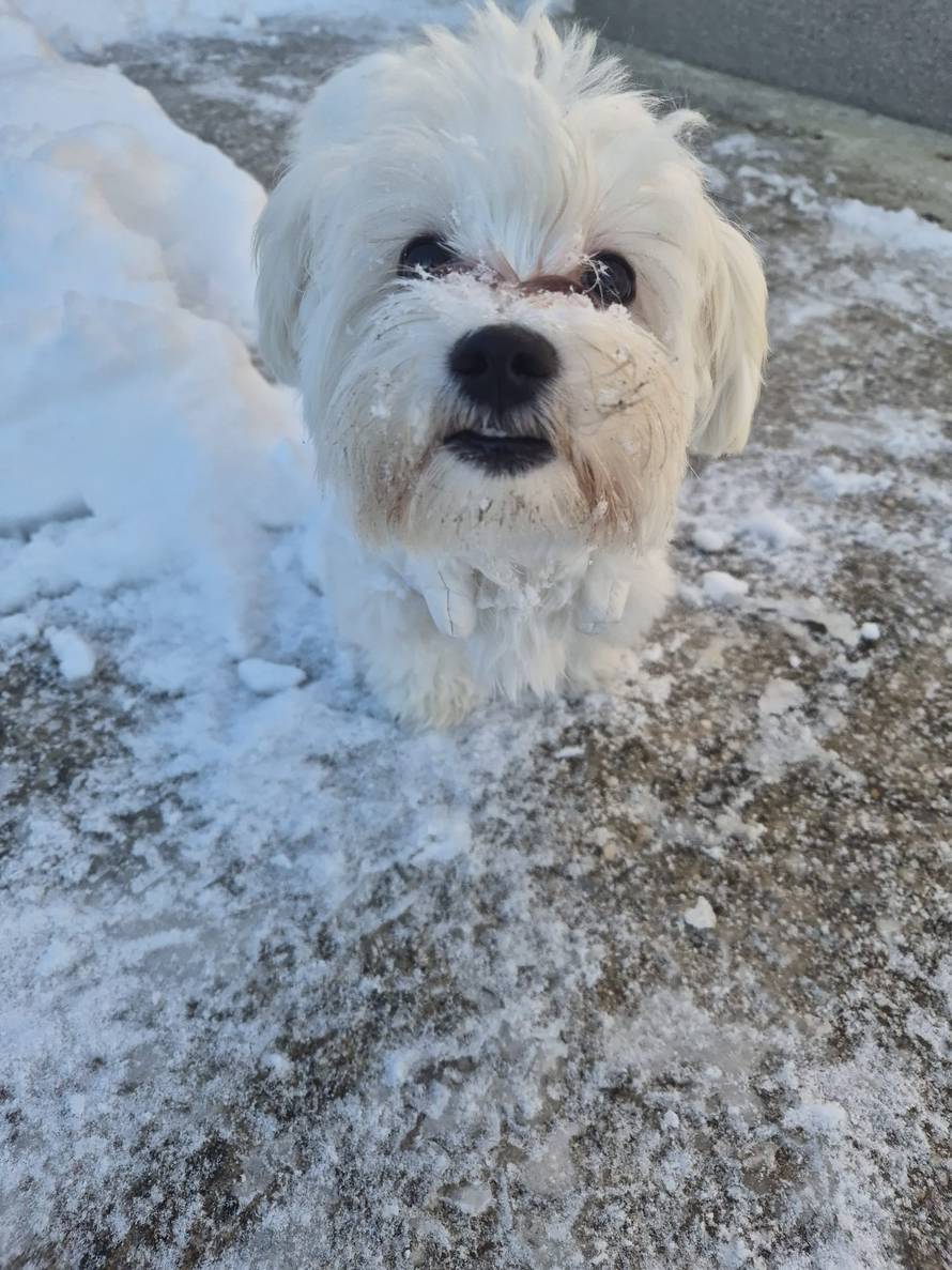 Općinska komunalka sama 'izlopatala' snijeg sa staze: 'Nema nikakve drame u tome'