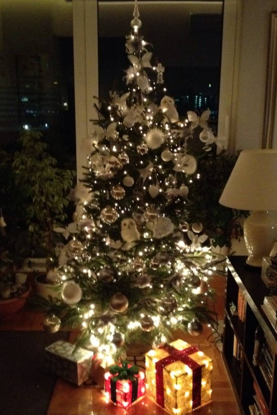 Šaljite fotografije božićnih jelki i osvojite vrijednu nagradu...