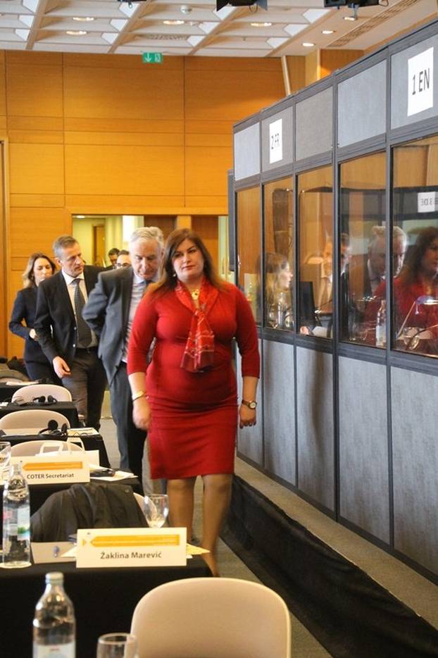 FOTO Danas odluka o nagodbi za Žalac, pogledajte kako se bivša  ministrica mijenjala