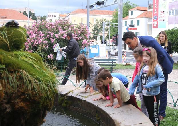 Kornjače u poznatoj šibenskoj fontani dobile društvo - 18 ribica