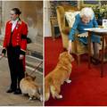 Korgiji pokojne kraljice sada žive na imanju s još pet pasa: 'Oni su naše nacionalno blago'
