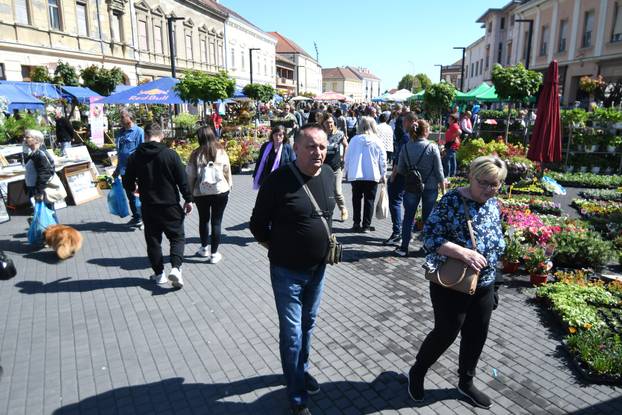 Najveći sajam cvijeća u Podravini privakao pažnju mnogobrojnih ljubitelja flore