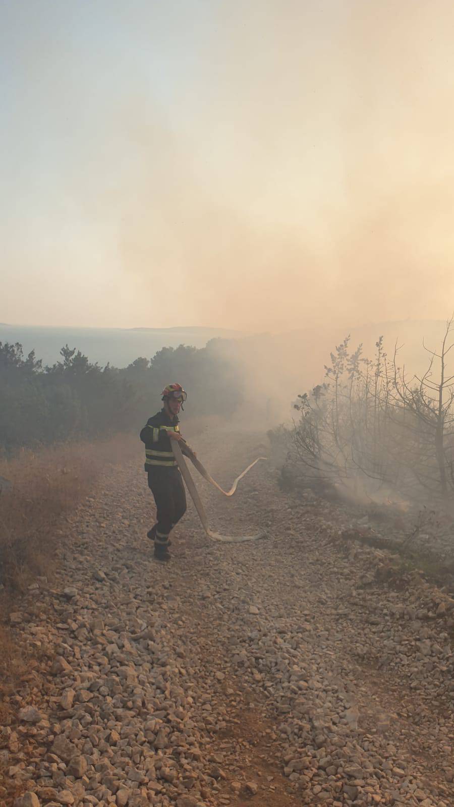 Čiovo: Izgorjelo 5000 kvadrata borove šume i niskog raslinja
