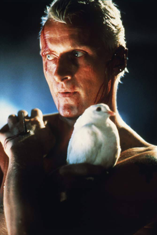 Umro je glumac Rutger Hauer, zvijezda filma 'Blade Runner'