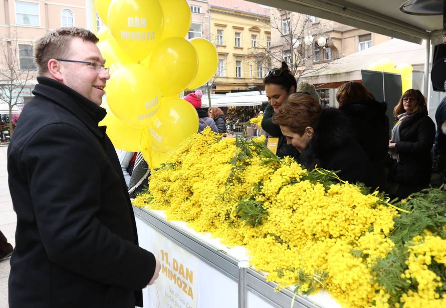 Dan mimoza: Intimno zdravlje žene krhko je poput cvijeta...