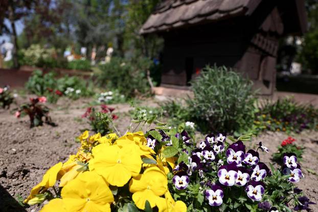U Dugom selu održan je sajam cvijeća